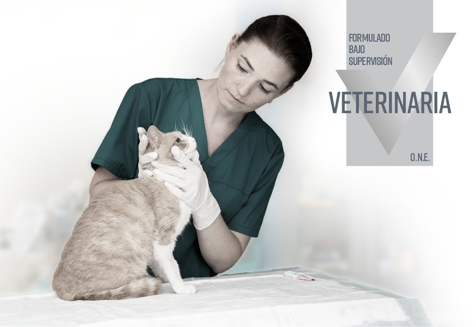 img-protect-gatos-1