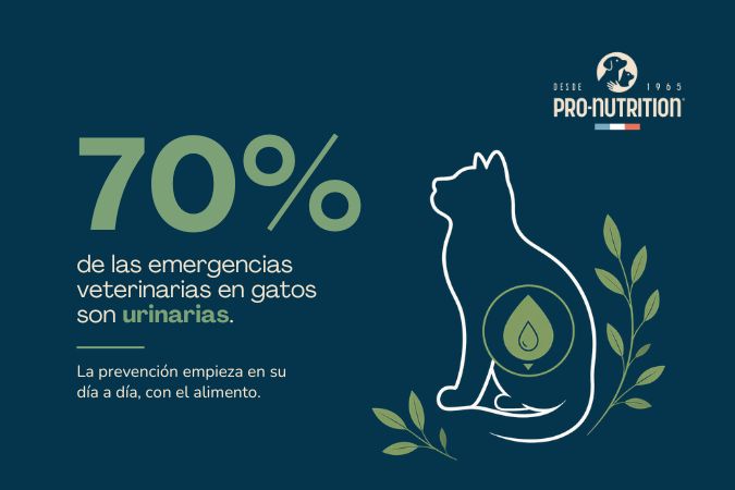 Estadística que muestra que el 70% de las emergencias veterinarias en gatos son por problemas urinarios, junto a ilustración de gato y logo Pro-Nutrition