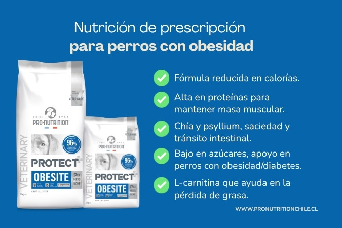 Protect Obesite de Pro-Nutrition: alimento de prescripción para perro con sobrepeso con L-carnitina y fibras saciantes