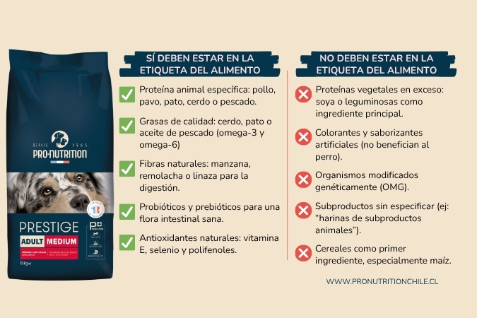 Infografía comparativa de los ingredientes que sí y que no debe tener el alimento de calidad para perros 